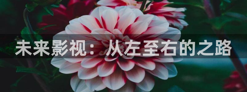 蜜桃久久久电影：未来影视：从左至右的之路
