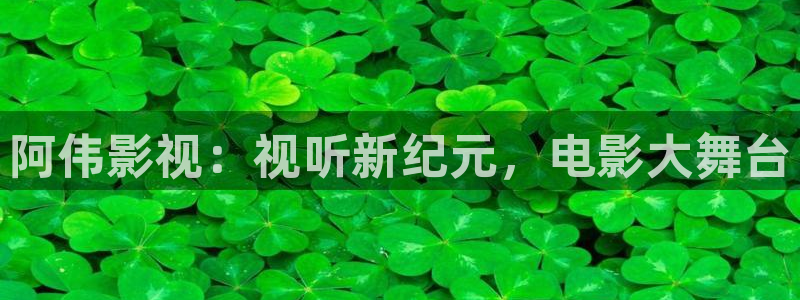 久久视频观看
