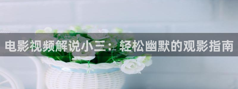 桃花影院久久久：电影视频解说小三：轻松幽默的观影指南
