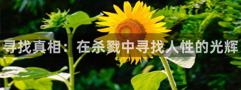 99久久久影视