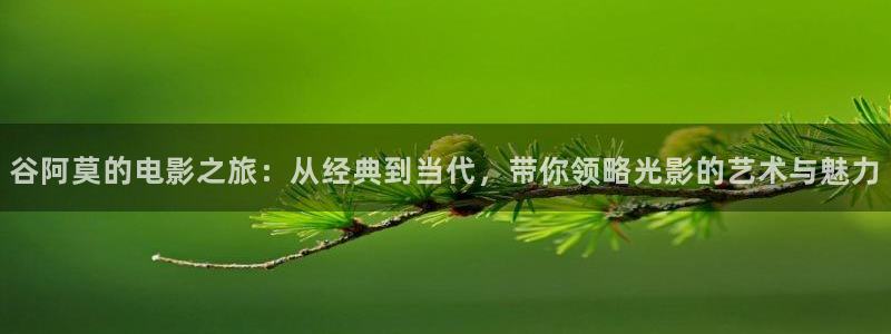 久久久影院,午夜家庭影院：谷阿莫的电影之旅：从经典到当代，带你领略光影的艺术与魅力