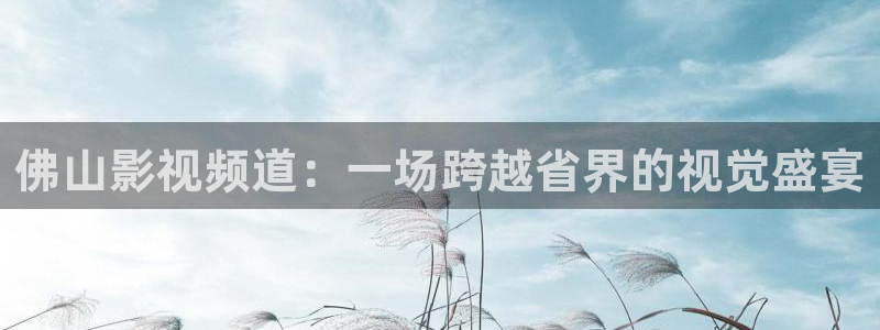 久久久免费影视：佛山影视频道：一场跨越省界的视觉盛宴