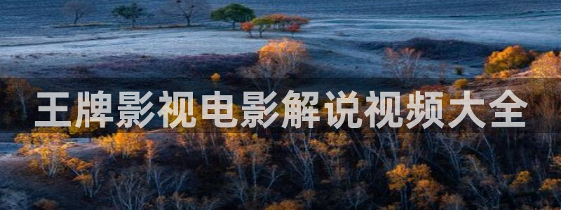 三级精品久久久久电影网