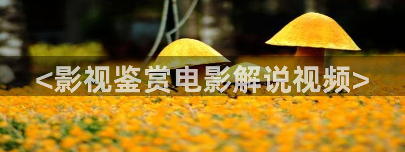 国产精品久久久久免费视频