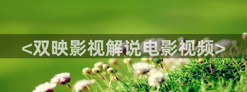 久久视频这里只有精品久久好看