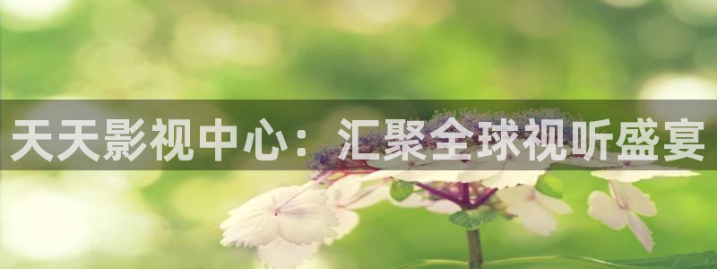 精品久久久久久久影院