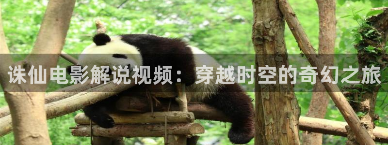 久久视频在线精品视频