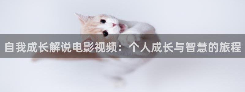 久久视频2