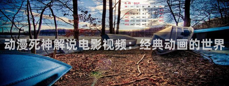 免费视频久久视频