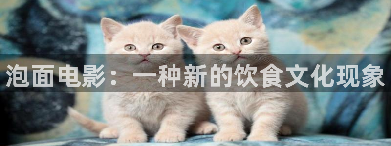 www久久视频